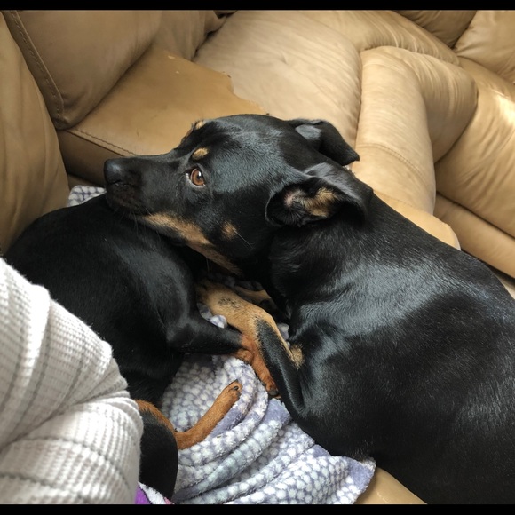 Meet your Posher, Jennifer - Picture 1 of 1